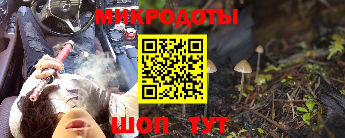 Калуга  хочу наркоту  Вход с VPN  Псилоцибиновые грибы прущие грибы 
